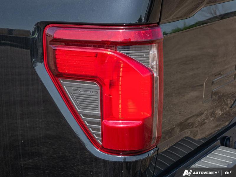 NEW 2025 Ford F-150 LOBO - Agate Black Exterior / BLACK STX CLOTH Interior - $79,699 - Stock #E51371 - VIN 1FTEW2L56SFB99210 - Photo 12