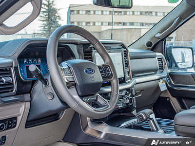 2025 Ford F-150 Platinum 1