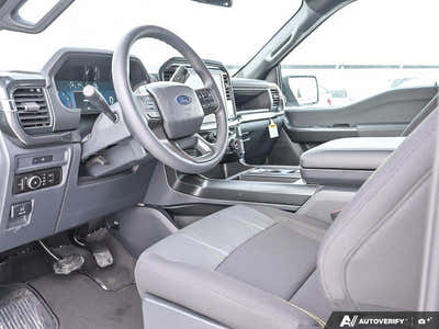 2025 Ford F-150 STX LOBO 1