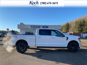 2025 Ford F-150 XLT 1