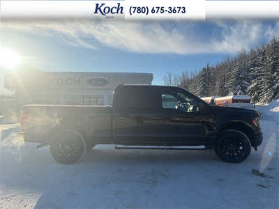 2025 Ford F-150 XLT 1