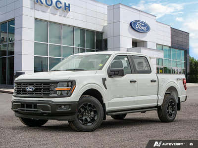 2025 Ford F-150 STX