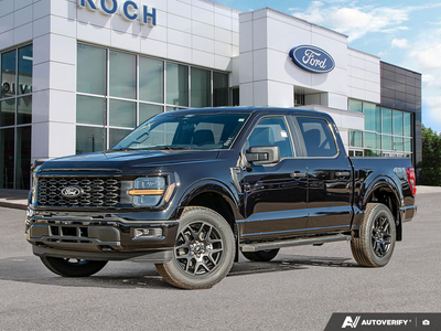 2025 Ford F-150 STX 1