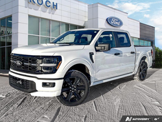 2025 Ford F-150 STX LOBO 1