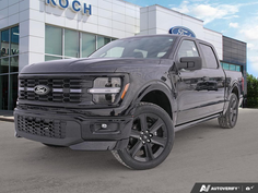 2025 Ford F-150 STX LOBO 1