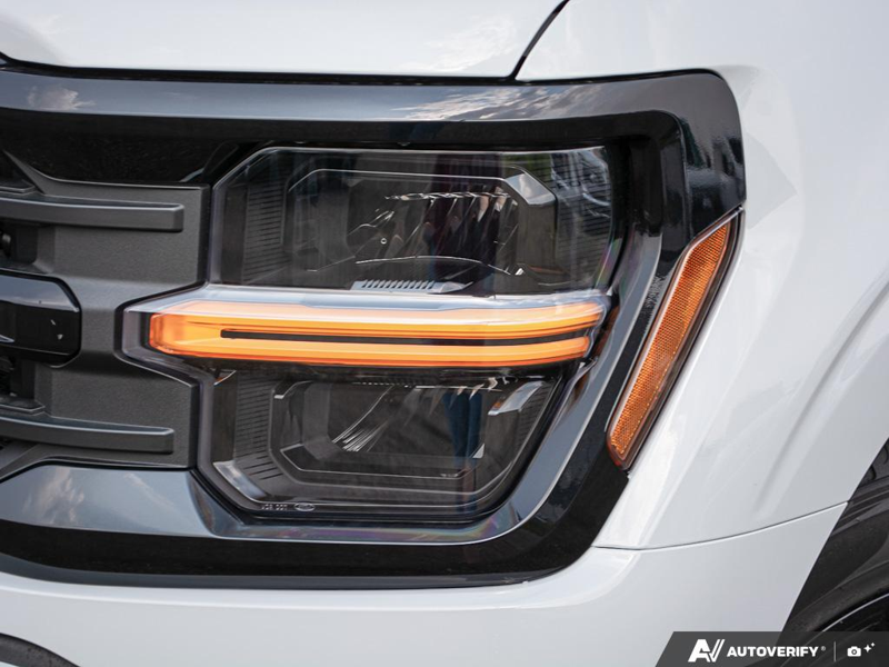 NEW 2026 Ford F-150 XLT - Avalanche Exterior / BLACK SPORT Interior - $68,967 - Stock #E60882 - VIN 1FTFW3L82TFB53315 - Photo 10