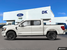 2026 Ford F-150 Platinum 1