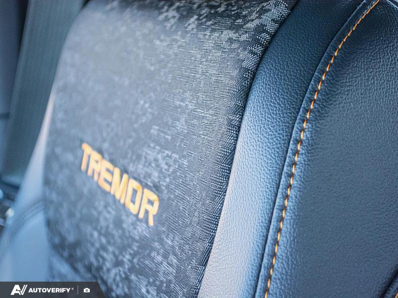 NEW 2026 Ford F-150 Tremor - Agate Black Exterior / BLACK SPORT CLOTH Interior - $79,137 - Stock #D60468 - VIN 1FTFW4L81TFA83781 - Photo 24