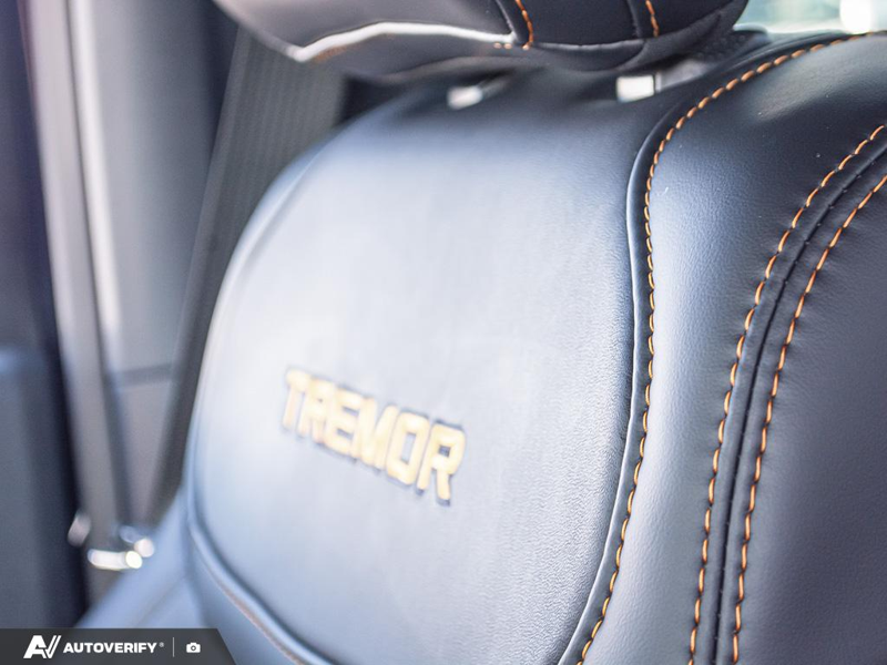 NEW 2026 Ford F-150 Tremor - Antimatter Blue Metallic Exterior / BLACK TREMOR LEATHER Interior - $90,273 - Stock #D60598 - VIN 1FTFW4L56TFB22855 - Photo 24