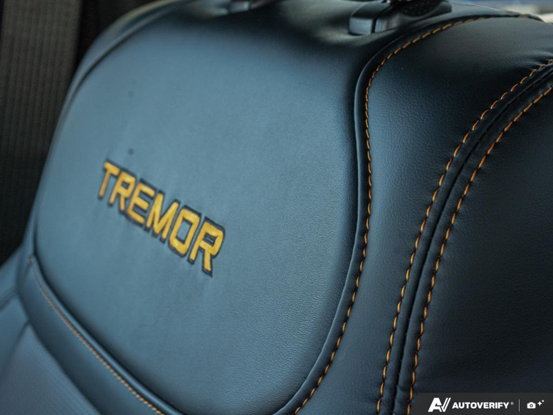 NEW 2026 Ford F-150 Tremor - Agate Black Exterior / BLACK TREMOR LEATHER Interior - $88,579 - Stock #E60943 - VIN 1FTFW4L86TFB70639 - Photo 24