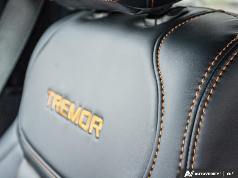 NEW 2026 Ford F-150 Tremor - Agate Black Exterior / BLACK TREMOR LEATHER Interior - $90,272 - Stock #E60665 - VIN 1FTFW4L51TFB03453 - Photo 24