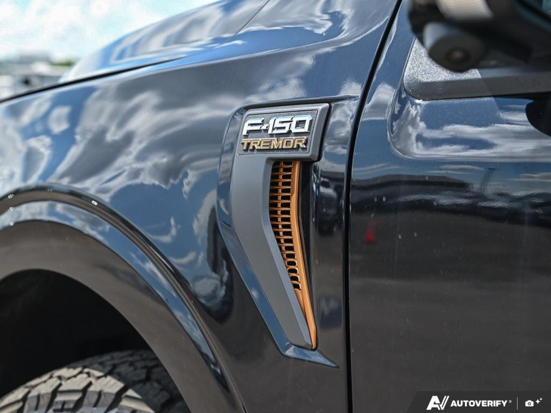 NEW 2026 Ford F-150 Tremor - Agate Black Exterior / BLACK TREMOR LEATHER Interior - $90,273 - Stock #E60747 - VIN 1FTFW4L50TFB13567 - Photo 26