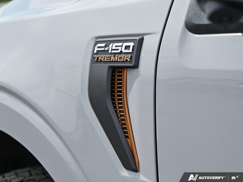 NEW 2026 Ford F-150 Tremor - Avalanche Exterior / BLACK SPORT CLOTH Interior - $75,229 - Stock #E60942 - VIN 1FTFW4L81TFB69270 - Photo 26