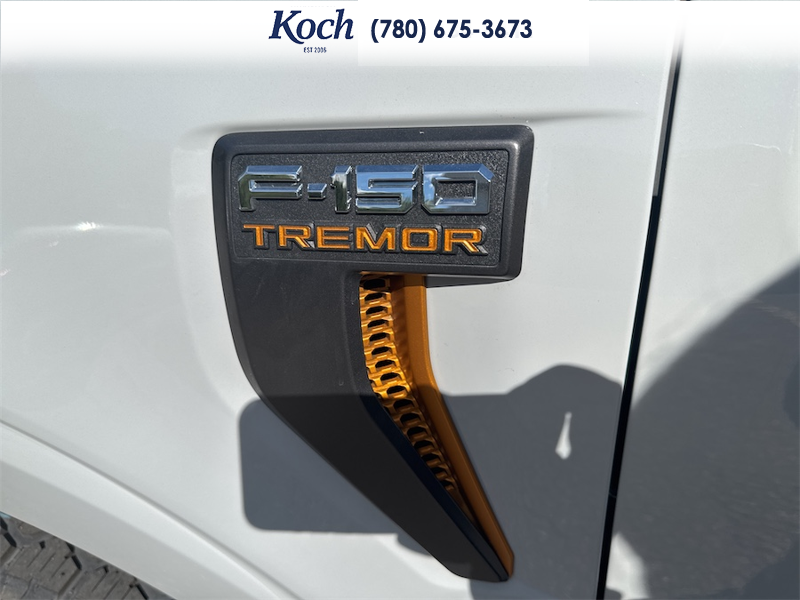 NEW 2026 Ford F-150 Tremor - Avalanche Exterior / BLACK SPORT CLOTH Interior - $86,965 - Stock #A26253 - VIN 1FTFW4L80TFA41635 - Photo 35