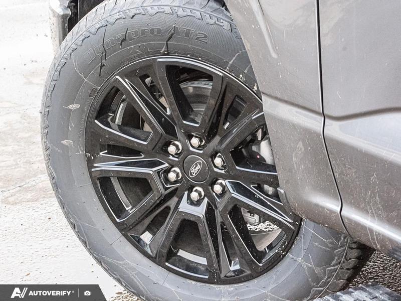 NEW 2026 Ford F-150 Platinum - Carbonized Grey Metallic Exterior / BLACK LEATHER Interior - $103,547 - Stock #D60463 - VIN 1FTFW7L87TFA51192 - Photo 6