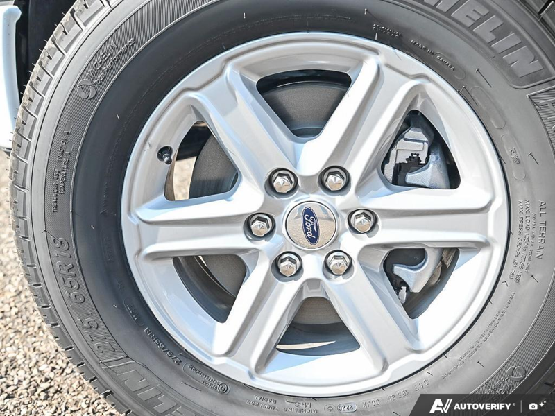 NEW 2026 Ford F-150 XLT - Oxford White Exterior / MEDIUM DARK SLATE Interior - $66,611 - Stock #E60909 - VIN 1FTFW3L84TKE62713 - Photo 6
