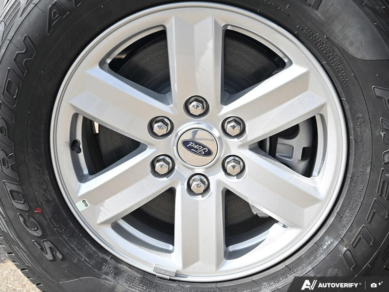 NEW 2026 Ford F-150 XL - Oxford White Exterior / MEDIUM DARK SLATE CLOTH Interior - $63,165 - Stock #E61003 - VIN 1FTFW1L82TKE73990 - Photo 6