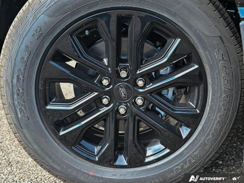 NEW 2026 Ford F-150 XLT - Agate Black Exterior / BLACK SPORT Interior - $72,406 - Stock #E61002 - VIN 1FTFW3L89TKE74968 - Photo 6