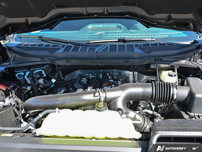NEW 2026 Ford F-150 XLT - Antimatter Blue Metallic Exterior / BLACK SPORT Interior - $70,977 - Stock #E60981 - VIN 1FTFW3L80TFB70467 - Photo 8