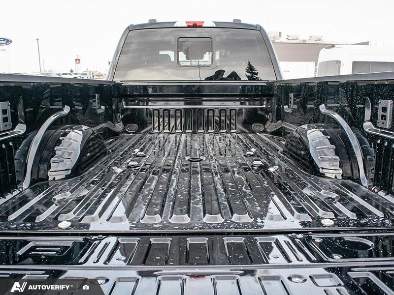NEW 2026 Ford F-450 Super Duty Platinum - Agate Black Exterior / BLACK ONYX/BLUE LEATHER Interior - $136,188 - Stock #D60232 - VIN 1FT8W4DM9TED93929 - Photo 11