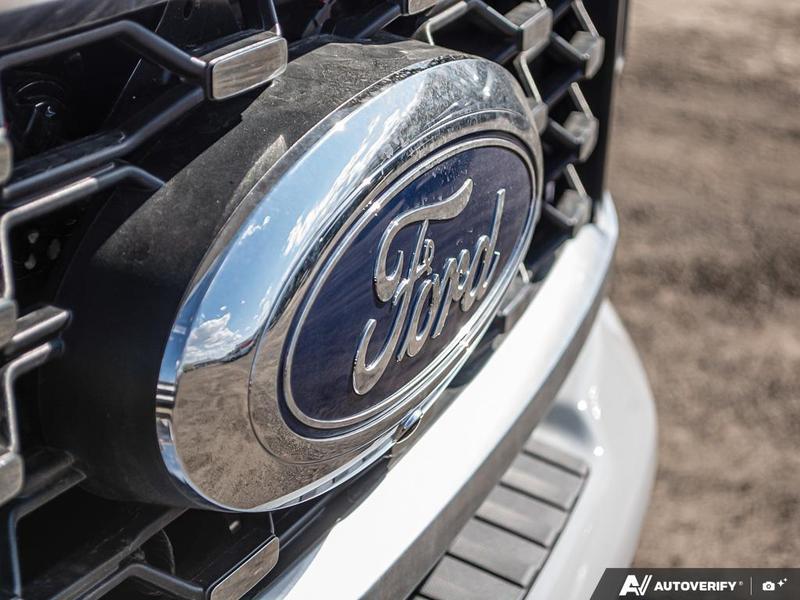 NEW 2026 Ford F-450 Super Duty Platinum - Avalanche Exterior / BLACK ONYX/BLUE LEATHER Interior - $132,339 - Stock #E60220 - VIN 1FT8W4DM7TED23460 - Photo 9