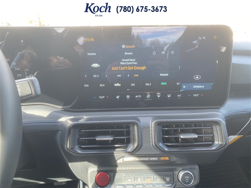 NEW 2026 Ford Mustang Dark Horse - Shadow Black Exterior / BLACK/BLUE, RECARO MICRO SUEDE/VINYL SPORT SEATS Interior - $90,005 - Stock #A26065 - VIN 1FA6P8R08T5501951 - Photo 21