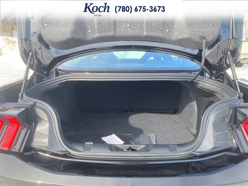 NEW 2026 Ford Mustang Dark Horse - Shadow Black Exterior / BLACK/BLUE, RECARO MICRO SUEDE/VINYL SPORT SEATS Interior - $90,005 - Stock #A26065 - VIN 1FA6P8R08T5501951 - Photo 31