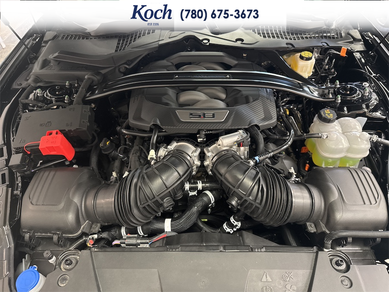 NEW 2026 Ford Mustang Dark Horse - Shadow Black Exterior / BLACK/BLUE, RECARO MICRO SUEDE/VINYL SPORT SEATS Interior - $90,005 - Stock #A26065 - VIN 1FA6P8R08T5501951 - Photo 31