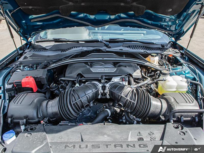 NEW 2026 Ford Mustang GT Premium - Adriatic Blue Metallic Exterior / BLACK ONYX TRIM Interior - $78,624 - Stock #E60117 - VIN 1FA6P8CF1T5401106 - Photo 8