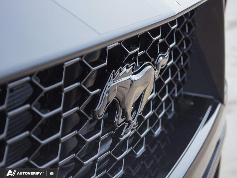 NEW 2026 Ford Mustang GT Premium - Shadow Black Exterior / CARMINE RED LEATHER-TRIMMED Interior - $74,018 - Stock #D60171 - VIN 1FA6P8CF8T5404360 - Photo 9